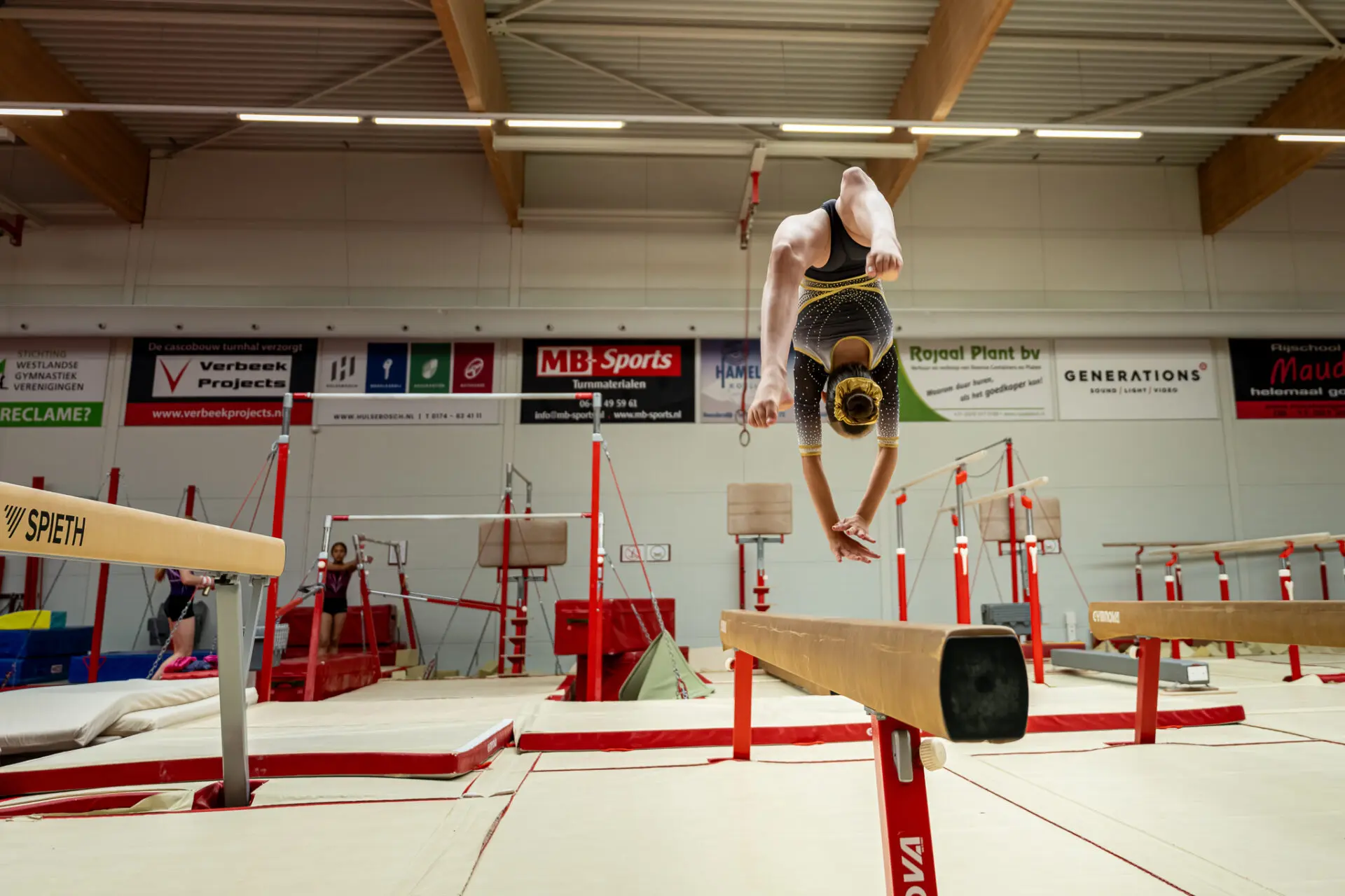 turnhal turnsters21